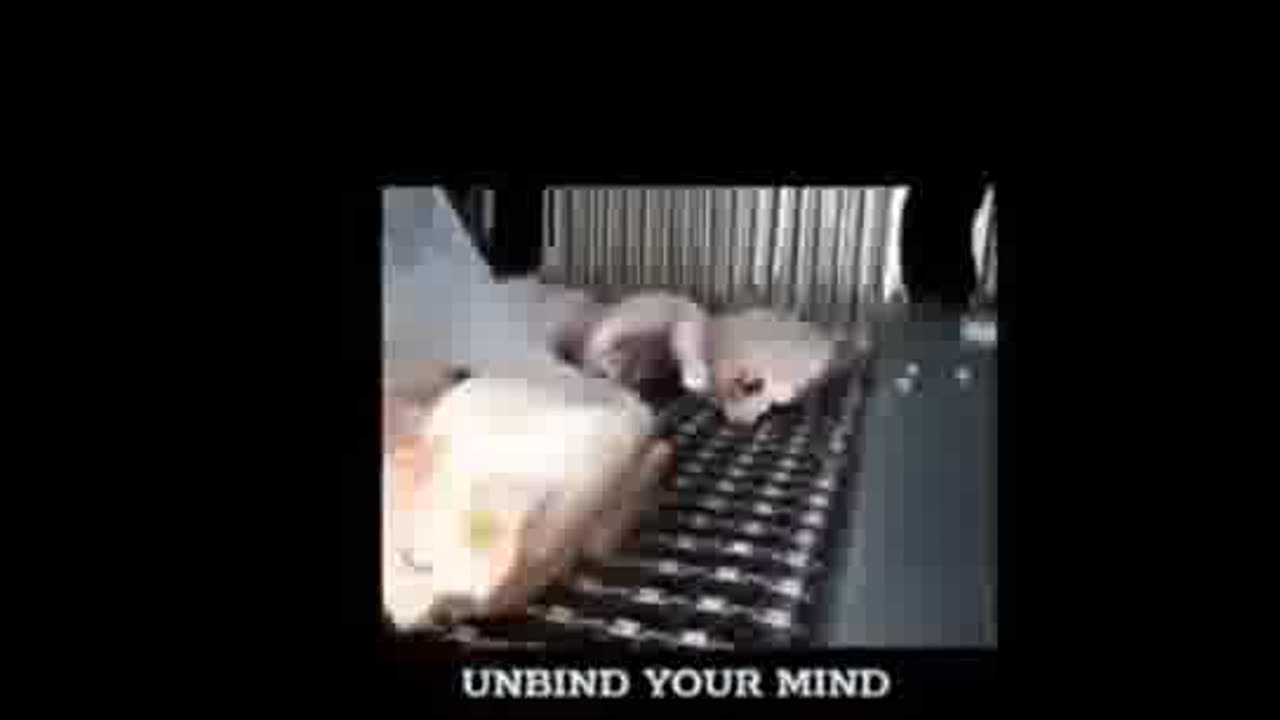 Food industry is poisoning people 2