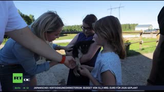 RT DE LIVE-TV