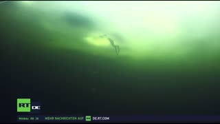 RT DE LIVE-TV