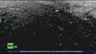 RT DE LIVE-TV
