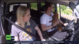 RT DE LIVE-TV