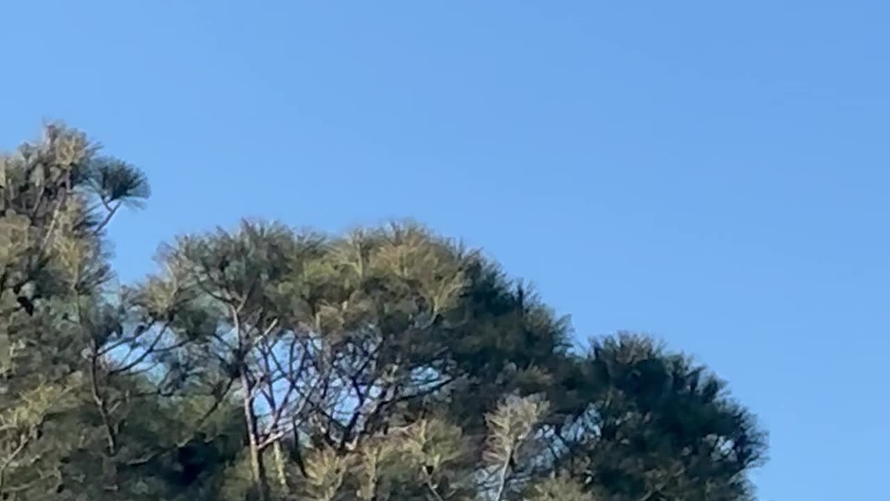 Crimes against humanity- their on Notice !