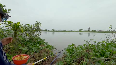 Salmon Lure Fishing in River Gravel Bars
