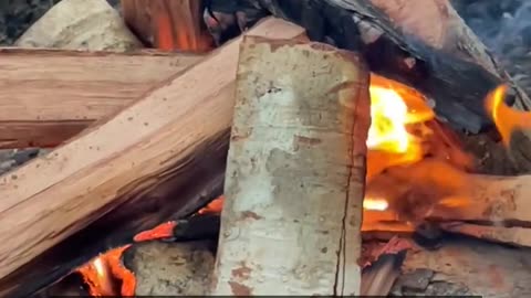 Daily Horoscope | Aries 🌟