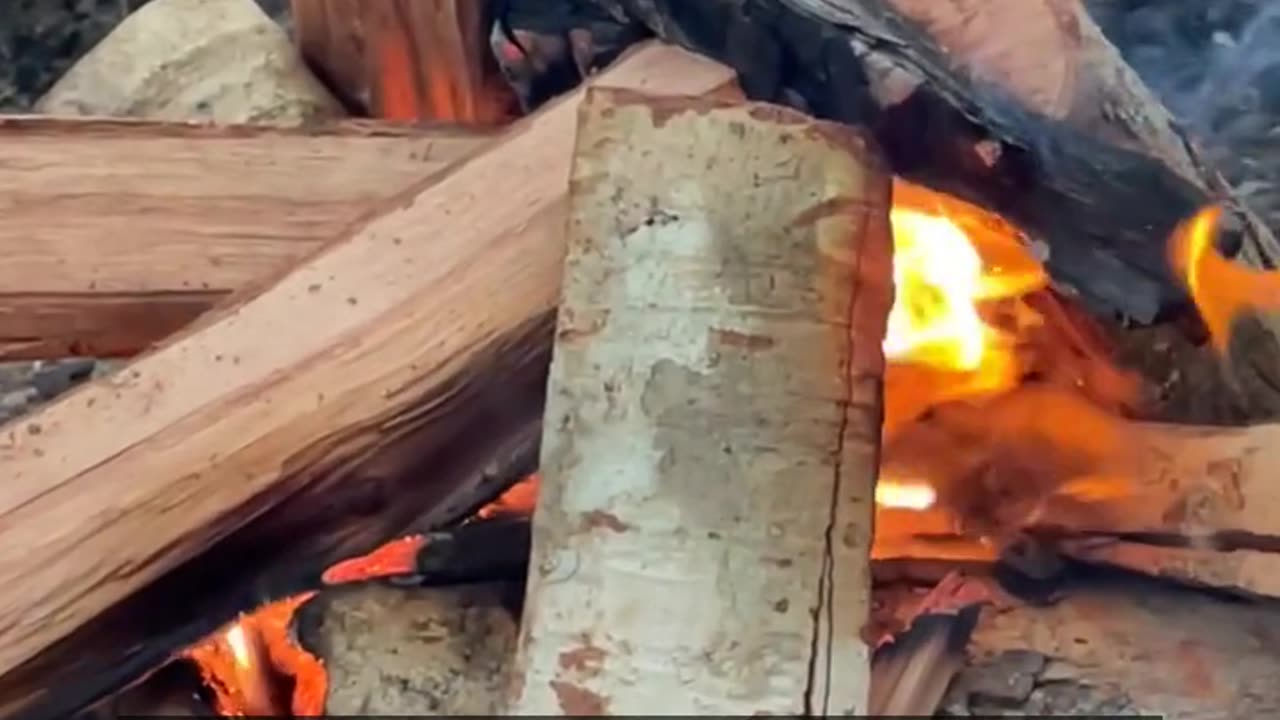 Daily Horoscope | Aries 🌟