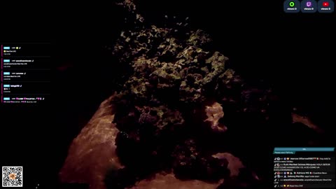 24/7 Real Live Reef Stream