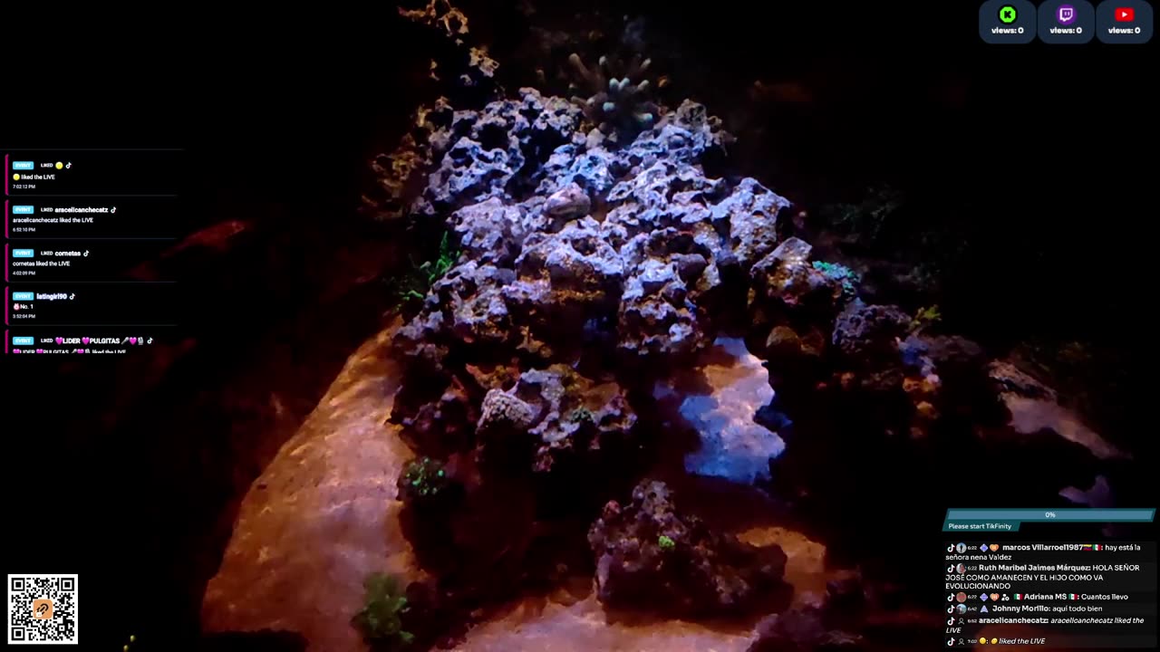 24/7 Real Live Reef Stream