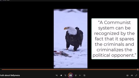 Truth about Ballymena Northern Ireland & the Pigs from Animal Farm