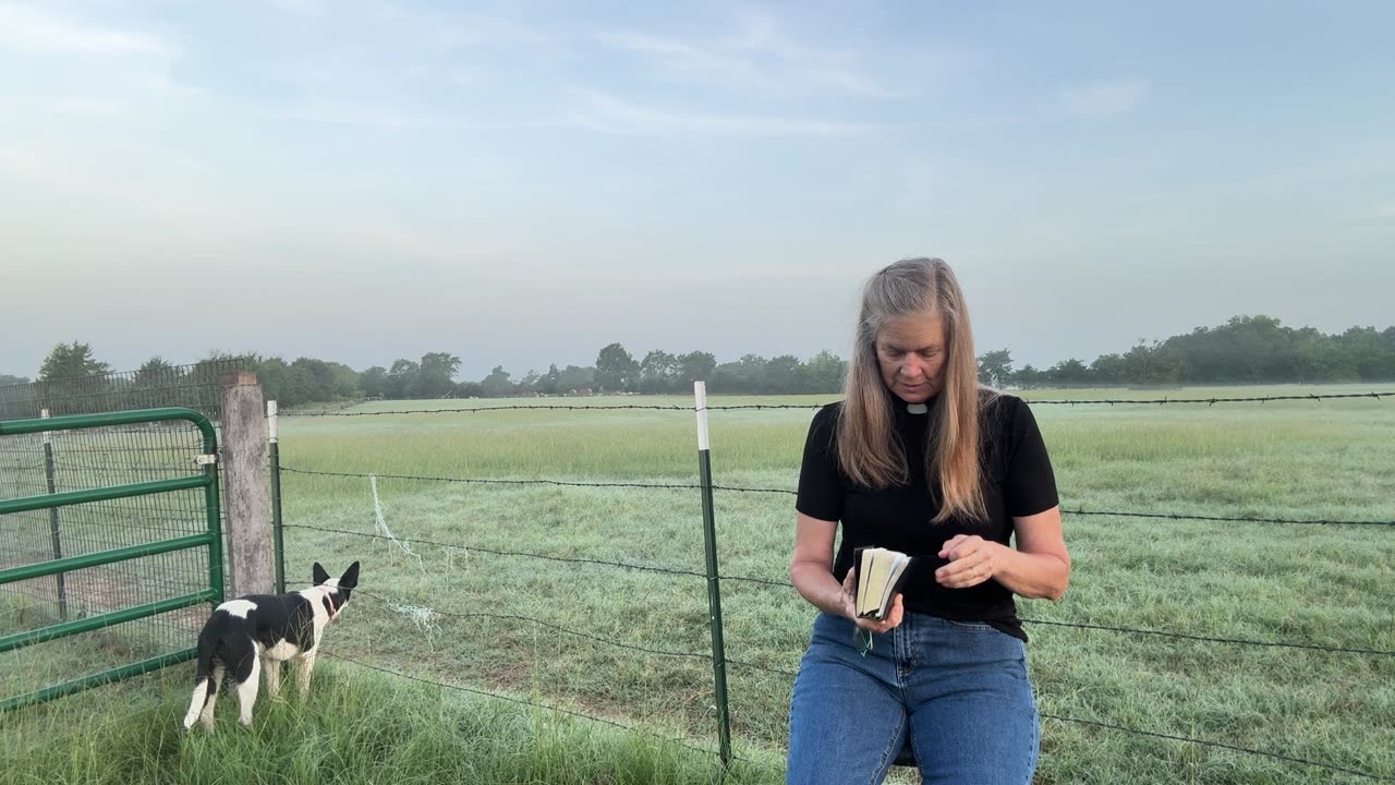 Morning Prayer, Daily Office