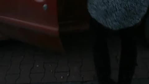 Crushed in the Parking Lot