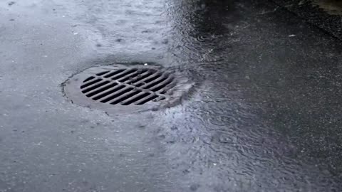 How Do Storm Drains Prevent Floods¿