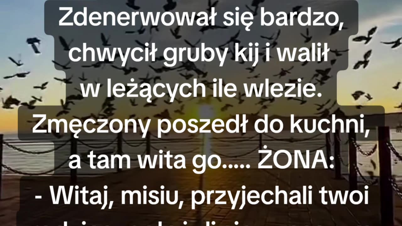 Odwiedziny