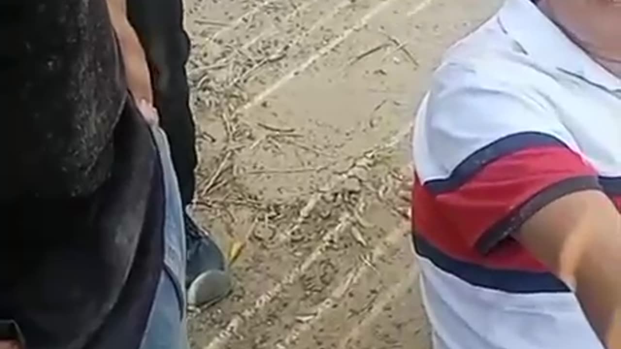 Accidente Anillo Vial