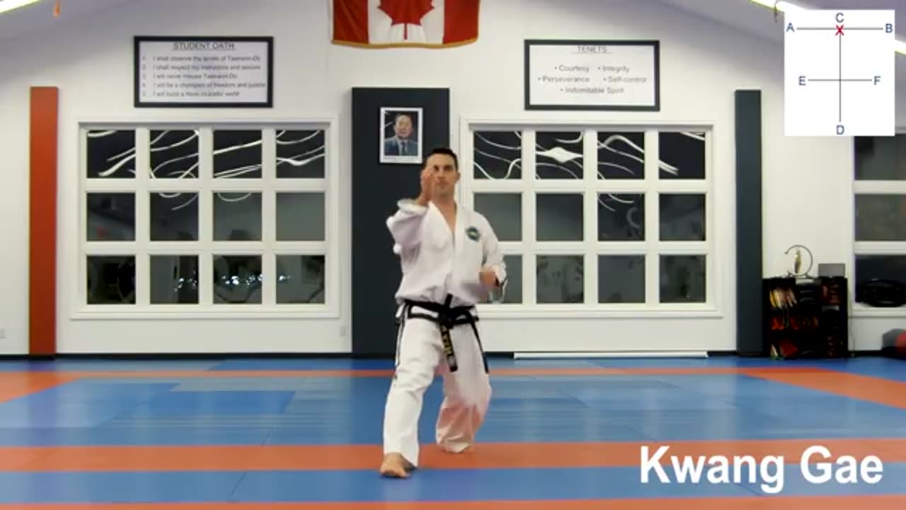 Taekwondo