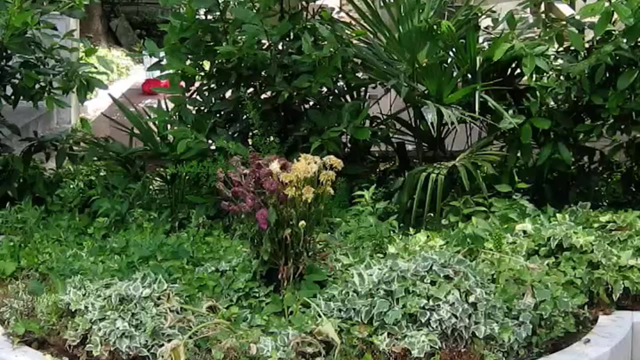 FAMOUS GRAVES - VOL. 400: EZRA POUND