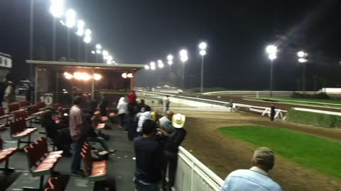 A live Quarter horse race at the end