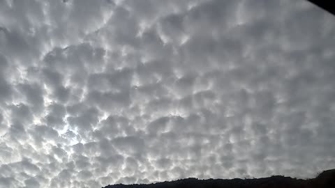 EMF MFC SKY