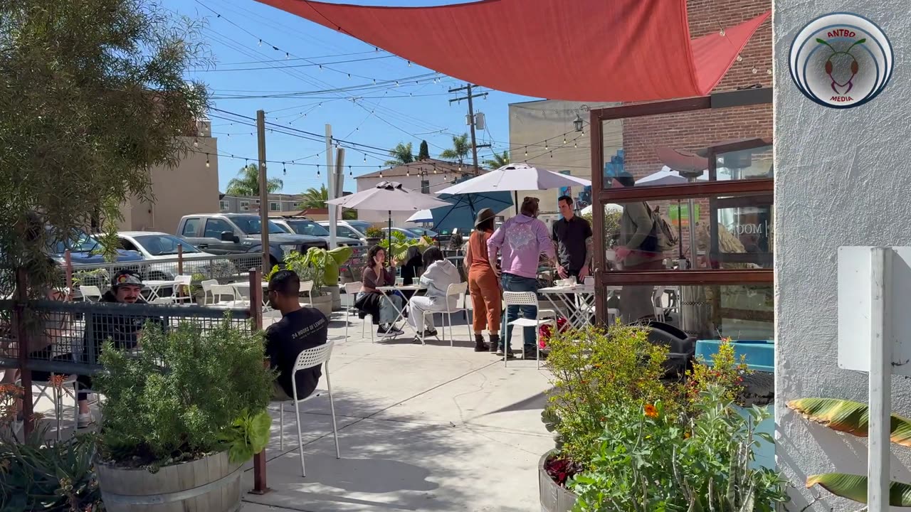 Coffeehouse KAREN FREAKS OUT - FIRST AMENDMENT AUDIT (1080p)