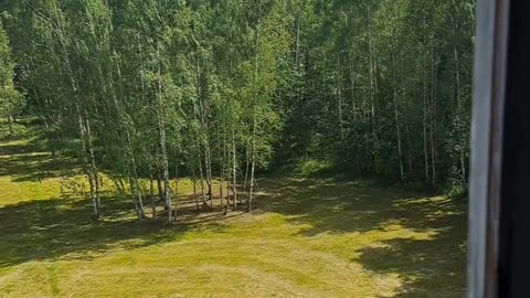 Girl on Swing in Our Yard: She's Secretly in Love with Me! 👀