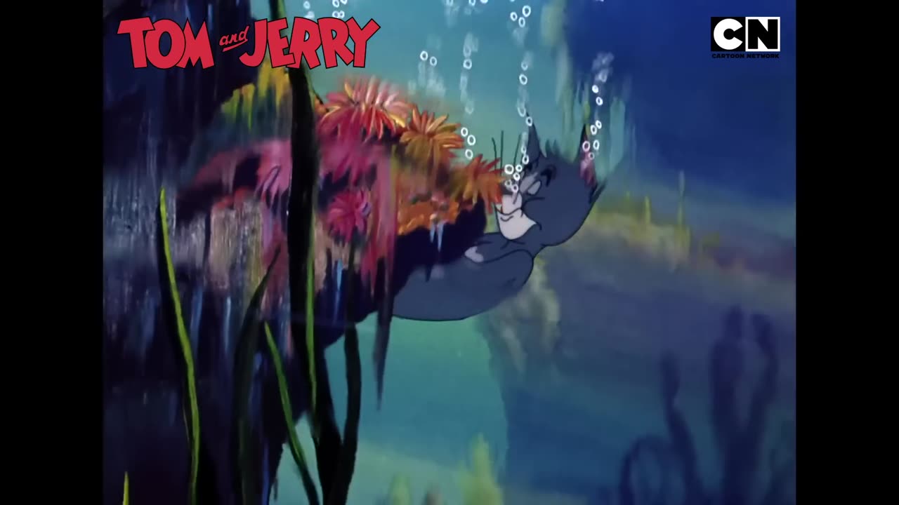 Tom and Jerry 😺🐭 Enemies Turned Dinner Buddies 🤔 Cat And The Mouse 😍 Watch Cartoon
