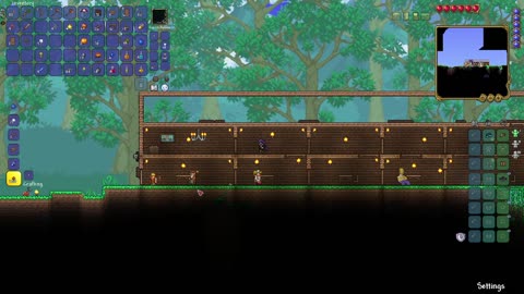 some Terraria