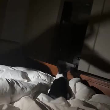 Protecting my own shadow 😂