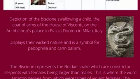 The 13 bloodlines 🩸 and their origins