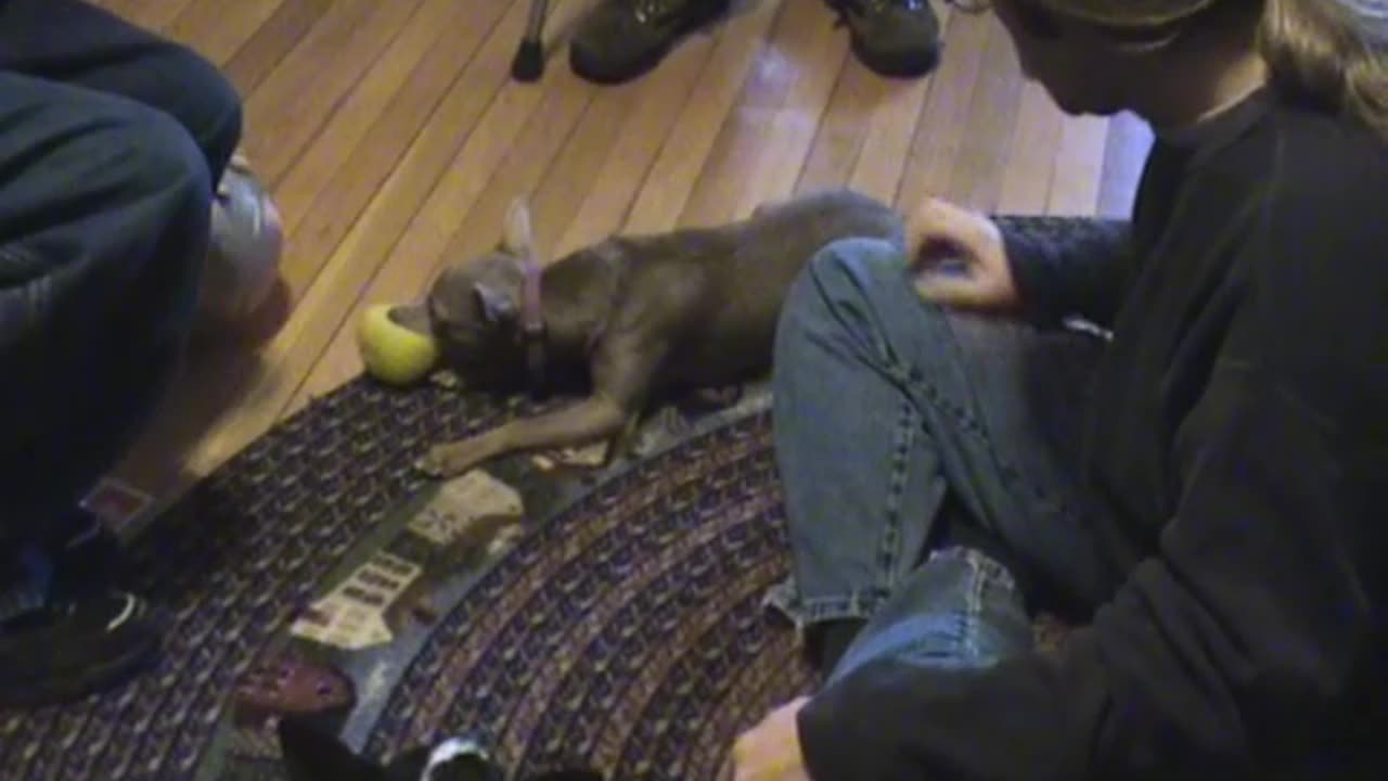 2005-VA-Home-2