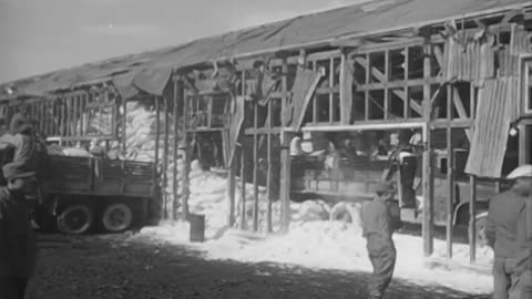 EVACUATION OF HUNGNAM, KOREA - EVACUATION OF HUNGNAM, KOREA - 111-adc-8608