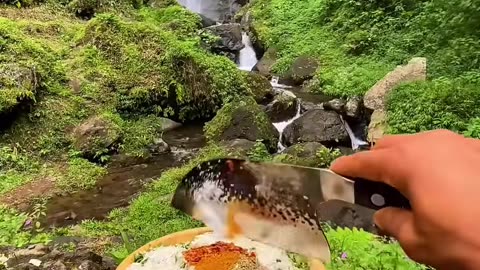 Food video
