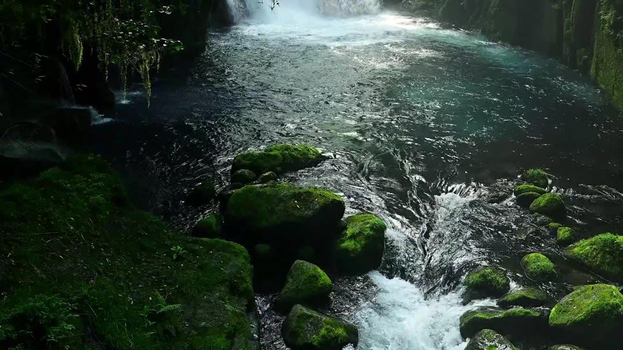 Success is not the key to happiness #facts #selfhelp #viral