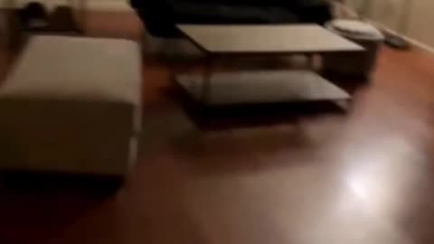 SAUCE GOAT SHOWS HIS 3 BEDROOM HOUSE TO THE CHAT! 🔥🏡 #ALLOFFTHESAUCE