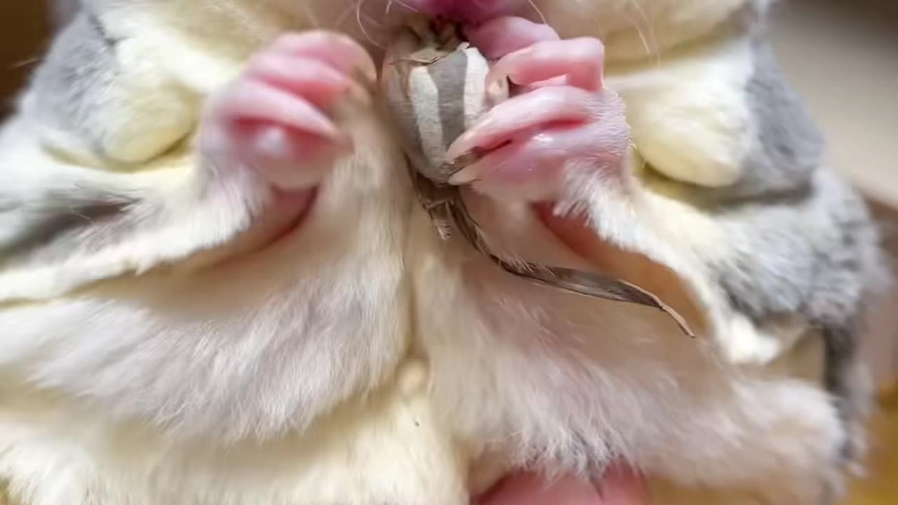 Một cái nối tiếp một cái, hoàn toàn không thể dừng lại.