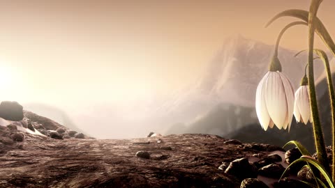 Na Tra 2- Ma Đồng Náo Hải - Ne Zha 2 - Vietsub - RoPhim