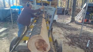 Turning Raw Appalachian Logs Into Custom Gold on the Frontier OS31!