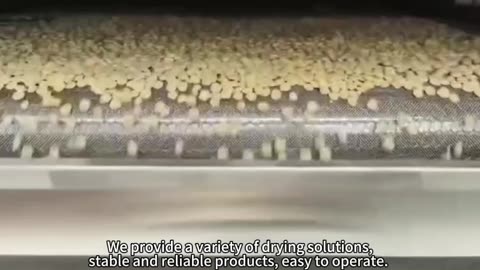 mesh belt dryers