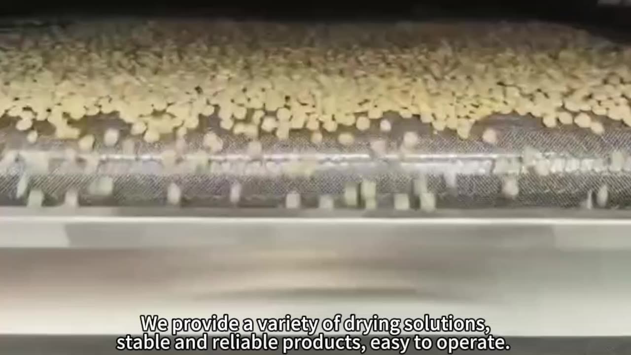 mesh belt dryers