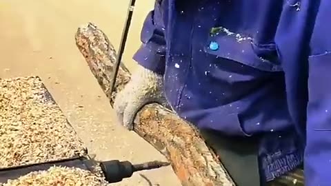 How Shiitake mushroom are grown in a farm?