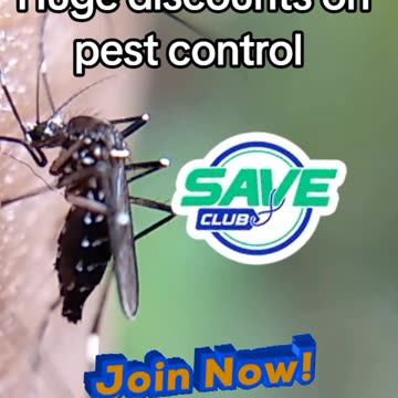 Bug Problems? Save Big on Expert Pest Control! Mosquitoes, ticks, or fleas ruining your yard?