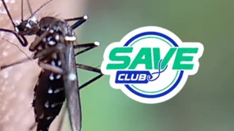 Bug Problems? Save Big on Expert Pest Control! Mosquitoes, ticks, or fleas ruining your yard?