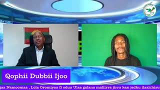 Qophii Dubbii Ijoo ONM-ABO Sadaasa 24-2025 itti dhiyaadhaa!