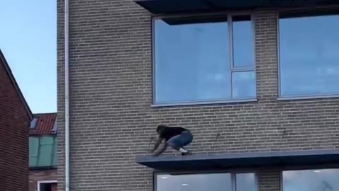 You Can't Fix Stupid - Holy Shit Edition