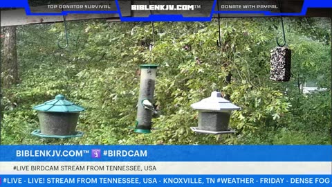 BIBLENKJV.COM™ 🛐 09/05/2025 #LIVE #WEATHER #KNOXVILLE