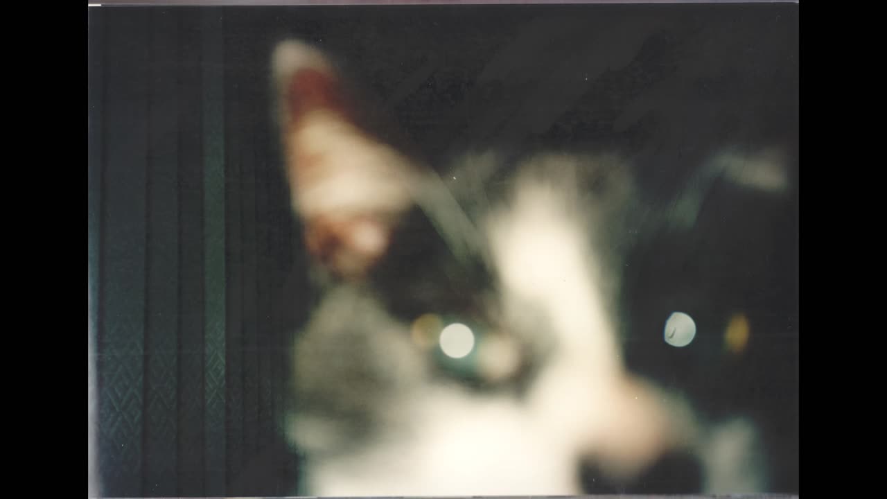 1998 july
