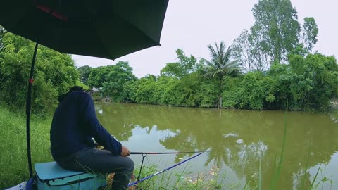 Bowfin Spin Fishing in Lake Marshy Areas