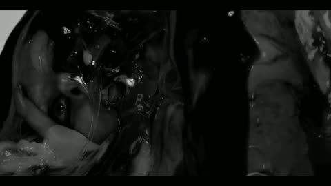 Lady Gaga - Heavy Metal Lover (Music Video)