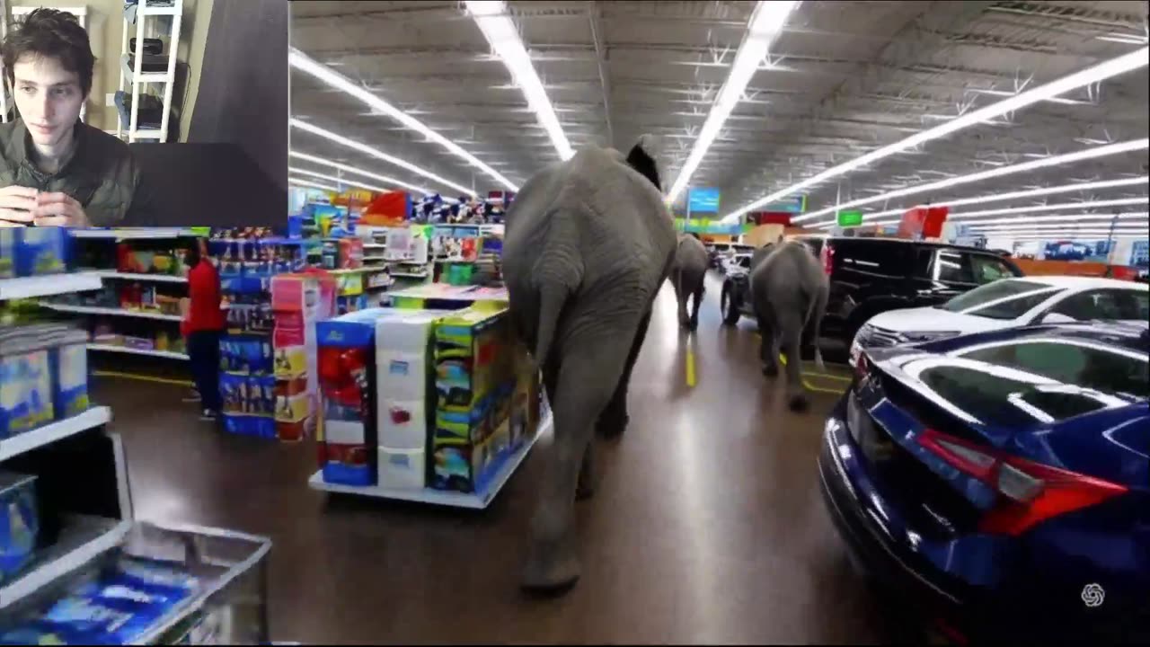 Outtake #1,016 Of Elephants Roam Around A Walmart Supercenter Fake Funny Parody Video