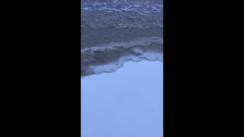 Daddy Goat 24/7 - Out Of Context Memes & Videos