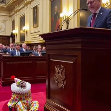 Monkey Mayhem in Parliament