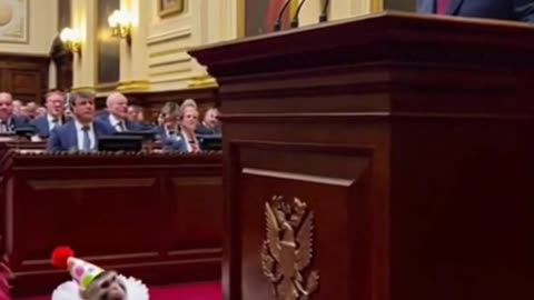 Monkey Mayhem in Parliament